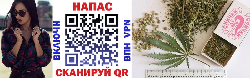 где купить наркоту  Людиново  Конопля AK-47 